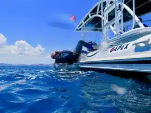 choix centre de mongée