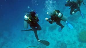 Surpression pulmonaire