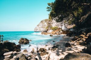 écouvrez les incontournables de Coconut Story pour des moments uniques