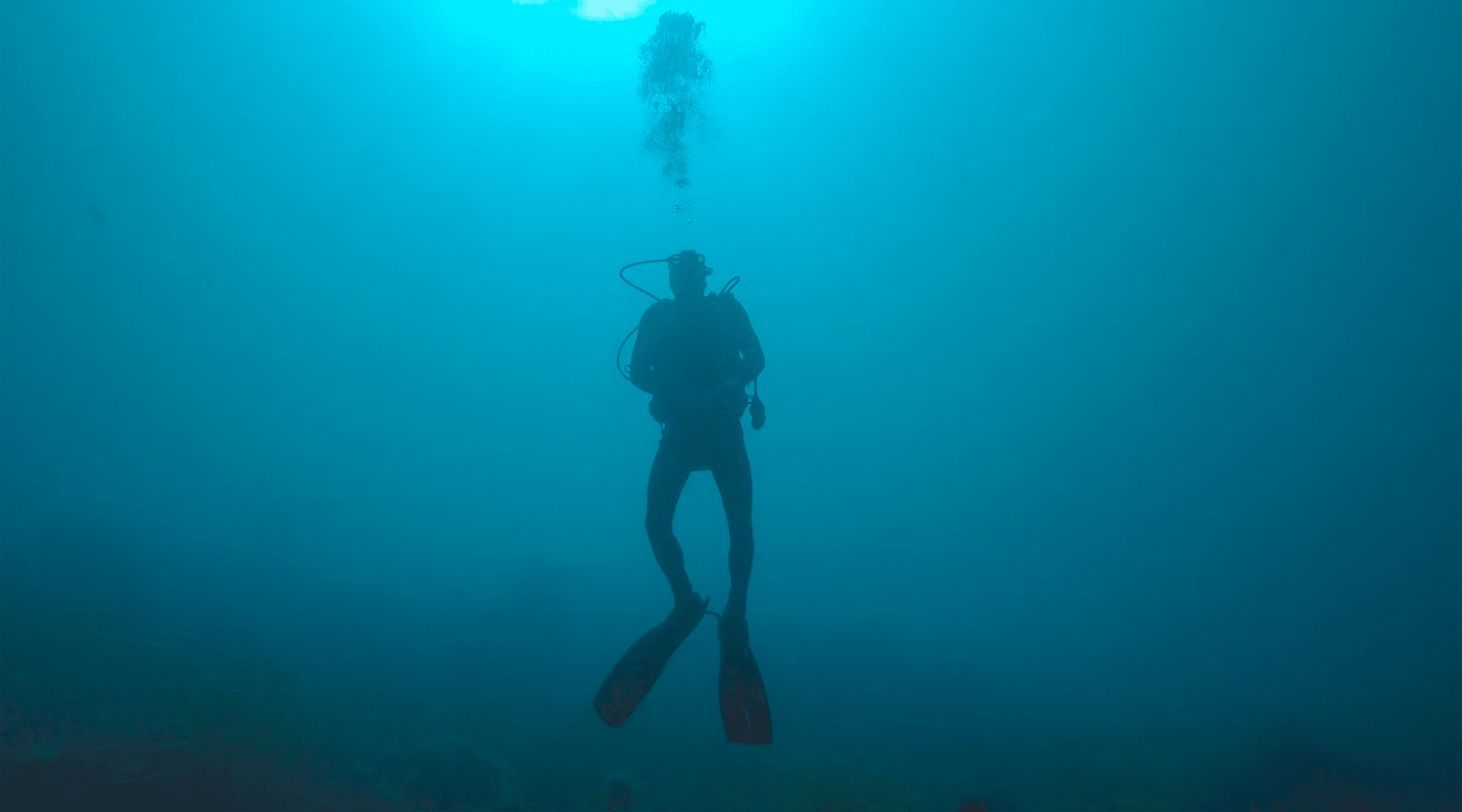 Comment devenir instructeur de plongée PADI ?