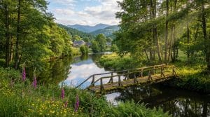 découvrez cereix, une destination naturelle incontournable en haute-loire. profitez d'une escale ressourçante au cœur des paysages préservés pour des moments de détente et d'aventure.