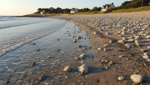 découvrez la plage de saint-valery-sur-somme, un lieu unique où sable fin et galets se mêlent pour un séjour inoubliable entre détente et nature préservée.
