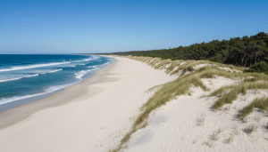 explorez comporta, un trésor naturel du portugal, réputé pour ses plages idylliques, ses paysages préservés et son ambiance authentique. parfait pour une escapade nature et détente.