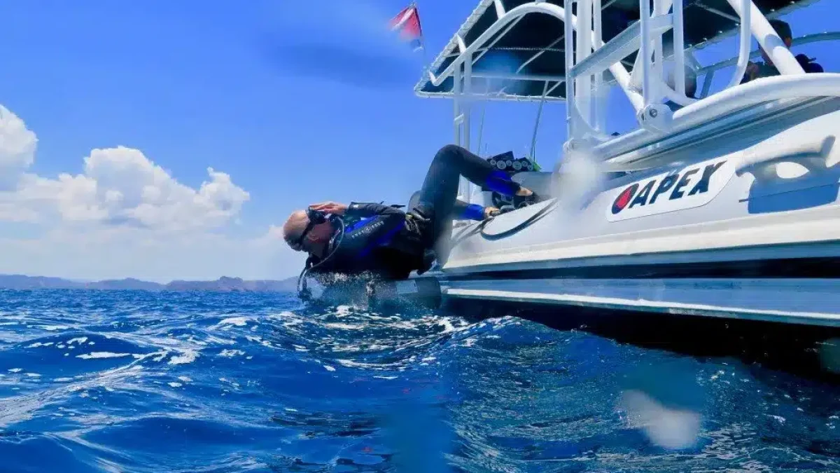 choix centre de mongée