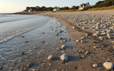 découvrez la plage de saint-valery-sur-somme, un lieu unique où sable fin et galets se mêlent pour un séjour inoubliable entre détente et nature préservée.