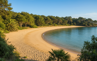 découvrez la plage naturiste des saumonards, un havre de paix au cœur d'un cadre naturel préservé, idéal pour se détendre en toute liberté et profiter de la beauté sauvage.