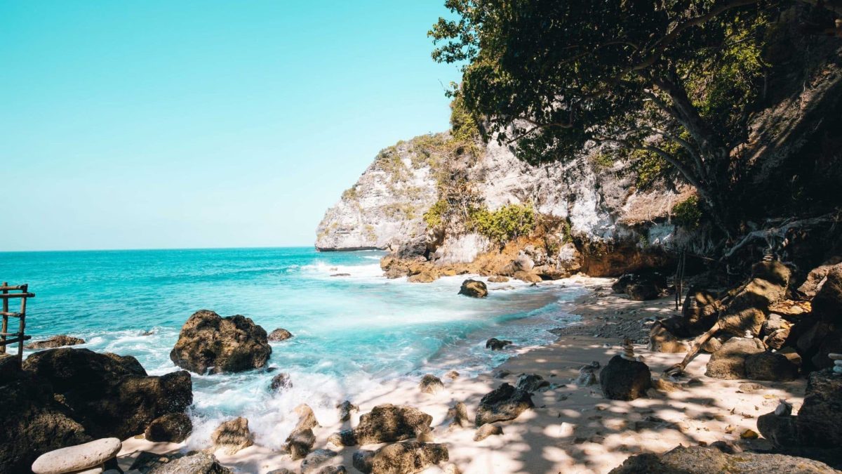 écouvrez les incontournables de Coconut Story pour des moments uniques