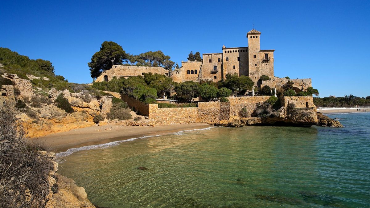 a719e01a-5618-476c-928b-55834fe628a6-t36_rlm2473bx