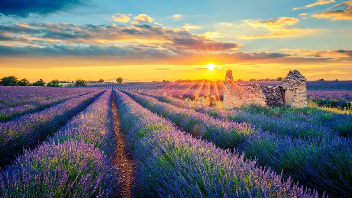 Visiter la Provence : Top 15 des lieux incontournables à découvrir