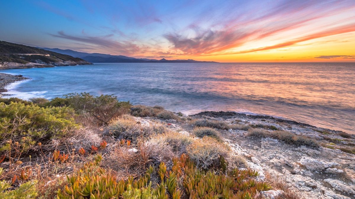 Coastal vegetation Cap Corse