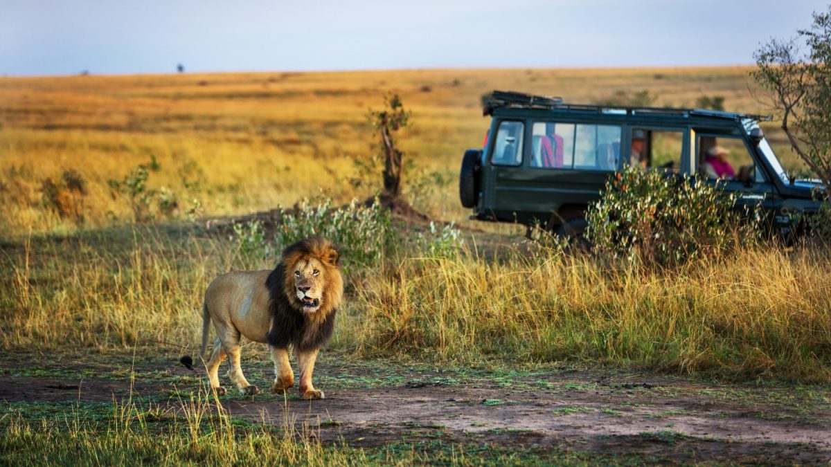 faire-safari-botswana