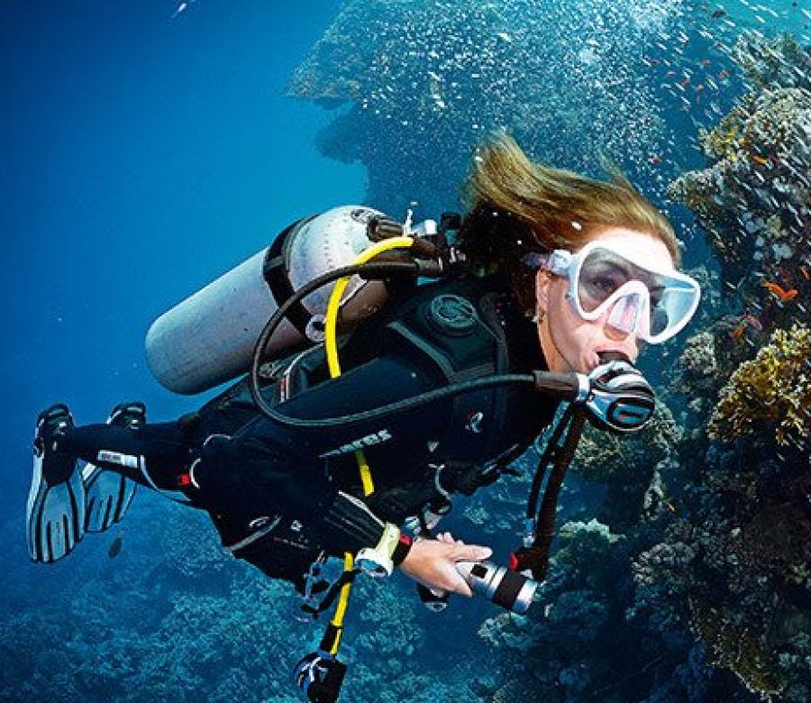 ile-port-cros-pour-vacances-plongee