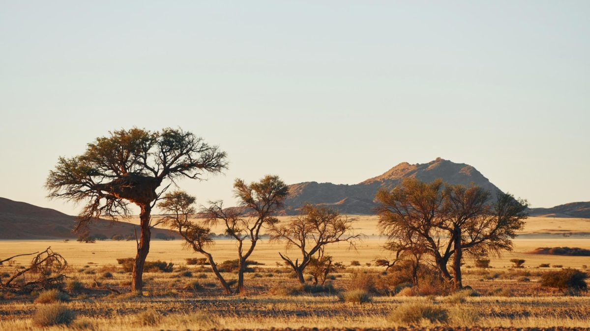 parc-national-kalahari