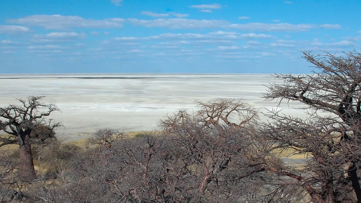visiter-makgadikgadi-pans-national-park-botswana